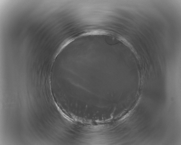 X0000066121425200603241558