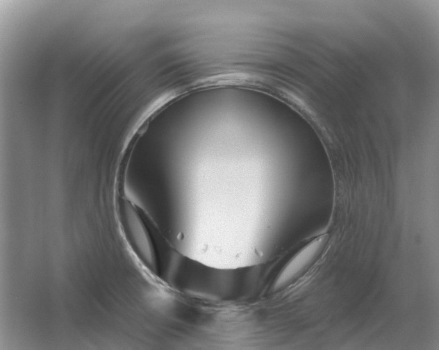 X0000066121426200603241558