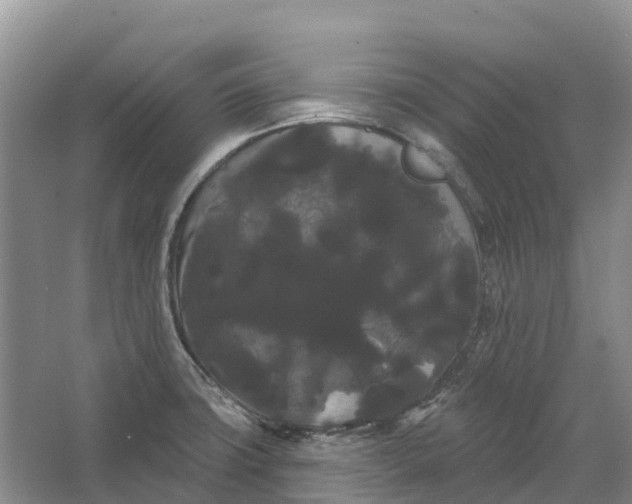 X0000066121427200603241558