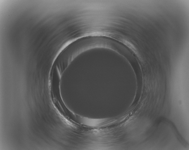 X0000066121428200603241558