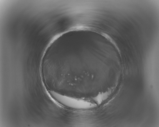 X0000066121429200603241558