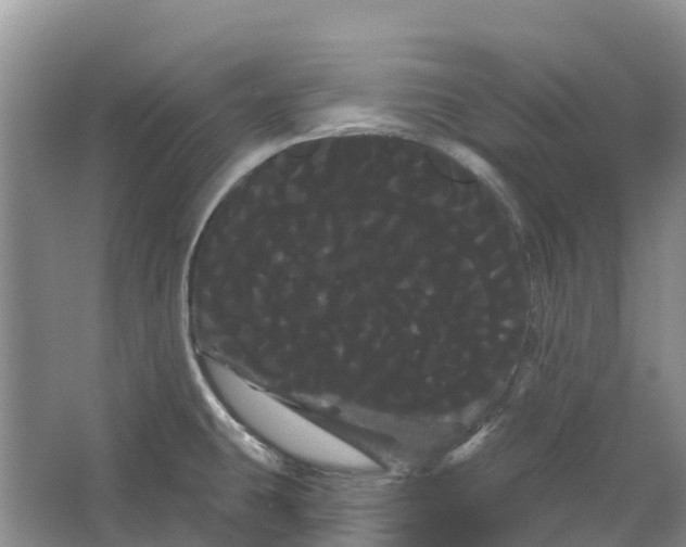 X0000066121431200603241558