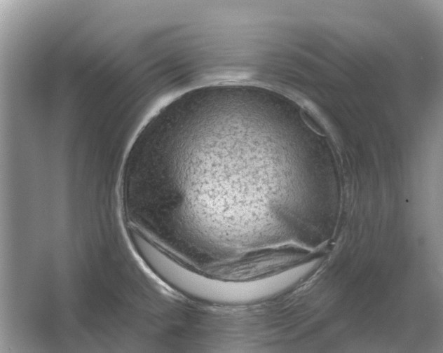 X0000066121432200603241558