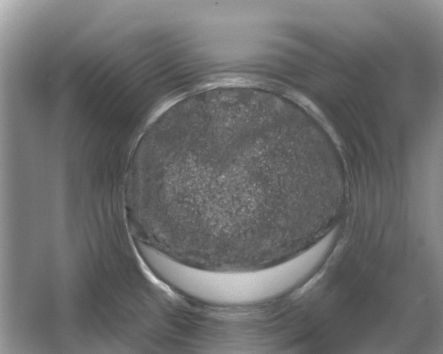 X0000066121433200603241558