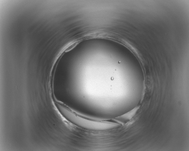 X0000066121434200603241558