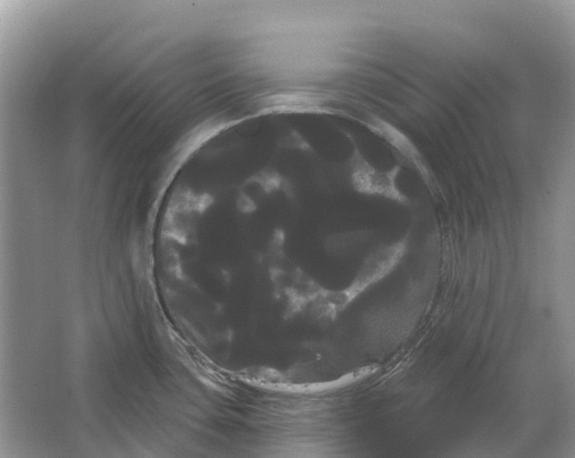 X0000066121435200603241558