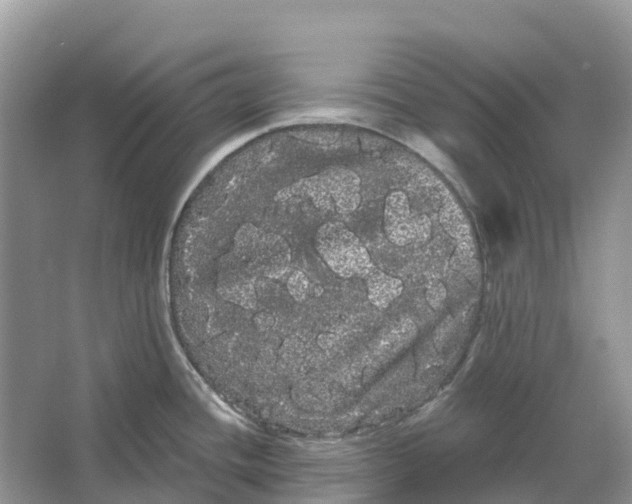 X0000066121436200603241558