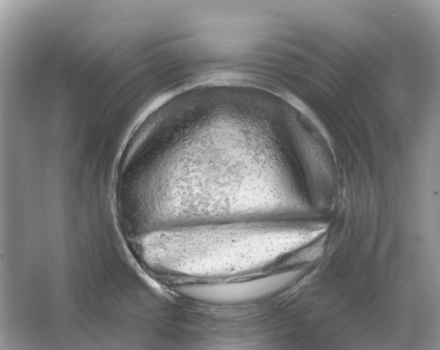 X0000066121437200603241558