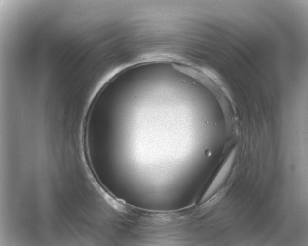 X0000066121438200603241558