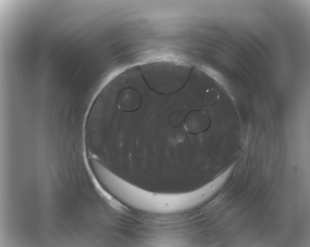 X0000066121439200603241558