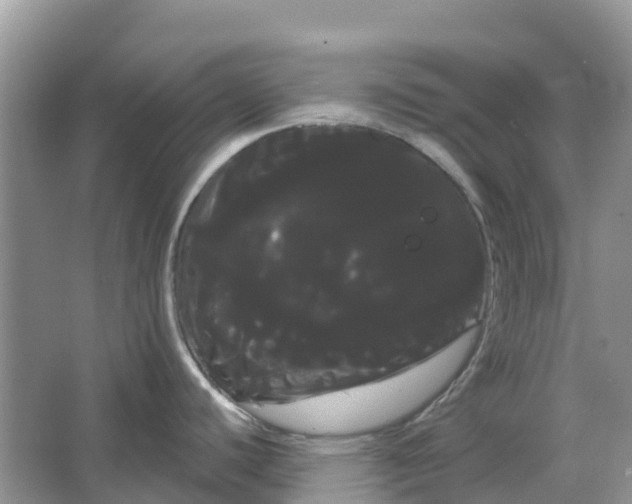 X0000066121440200603241558