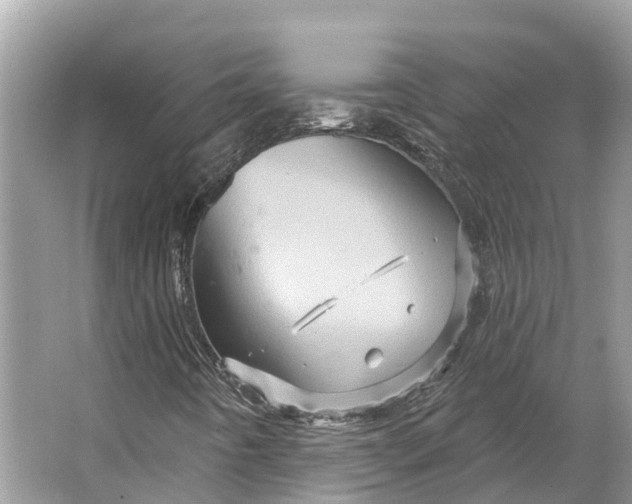 X0000066121442200603241558