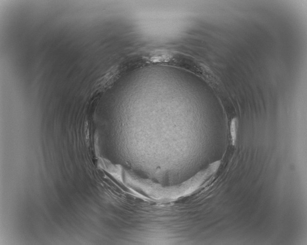 X0000066121443200603241558