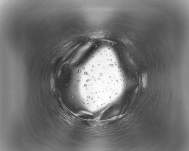 X0000066121444200603241558