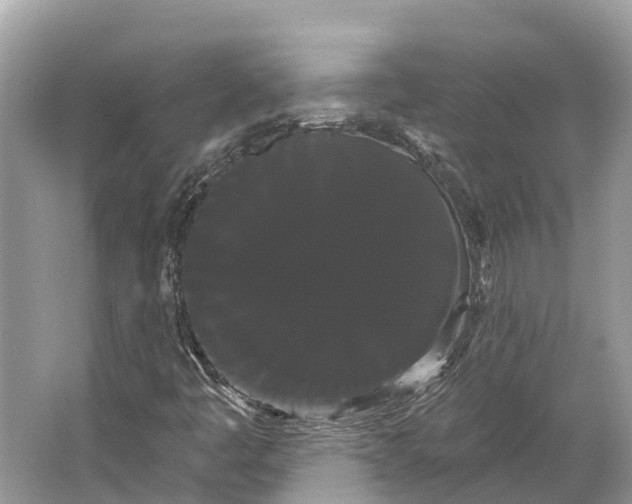 X0000066121445200603241558