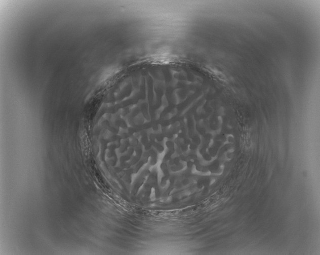 X0000066121446200603241558