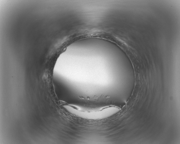 X0000066121447200603241558