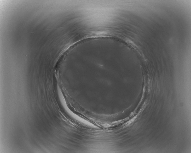 X0000066121449200603241558