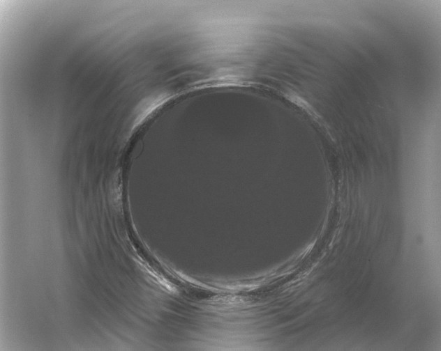 X0000066121450200603241558