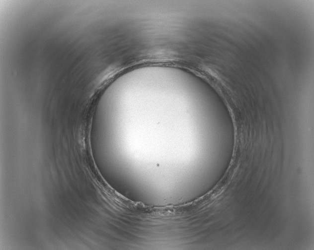 X0000066121451200603241558