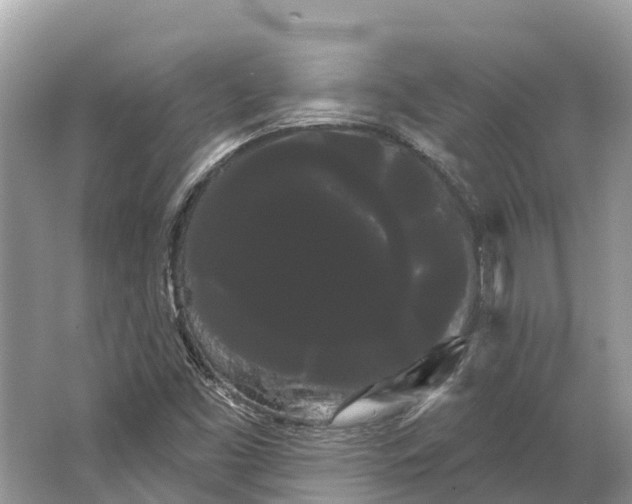 X0000066121453200603241557