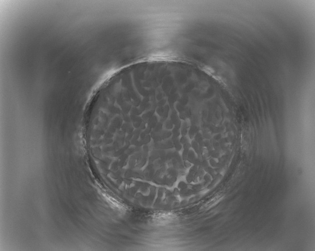 X0000066121454200603241557