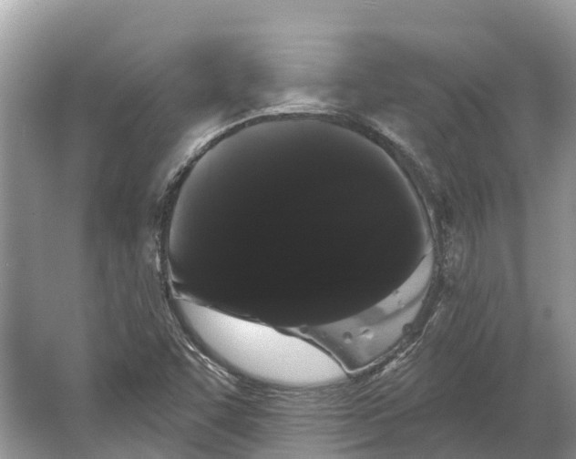 X0000066121455200603241557