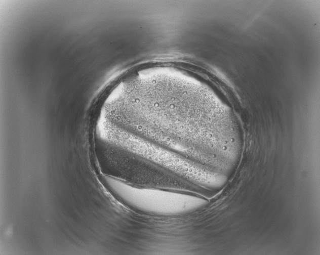 X0000066121456200603241557