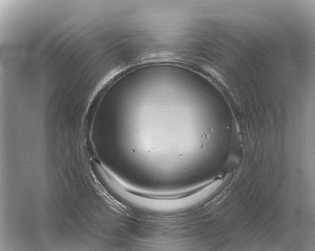 X0000066121458200603241557