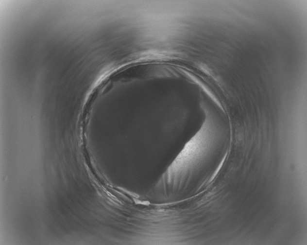 X0000066121459200603241557