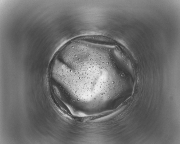 X0000066121460200603241557