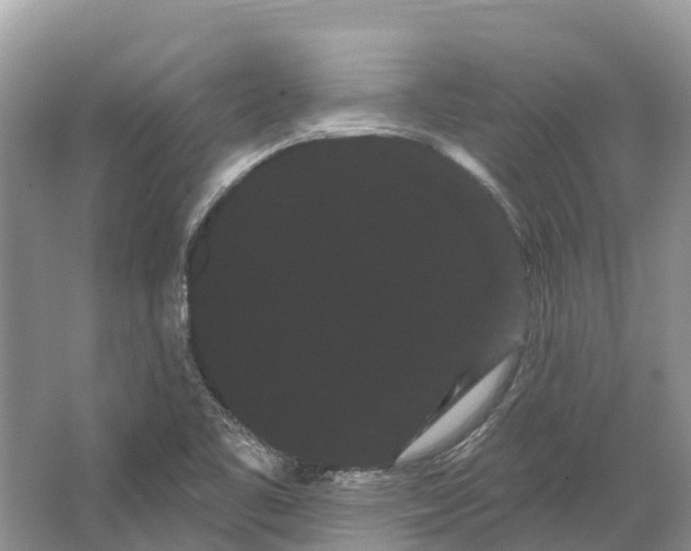 X0000066121461200603241557