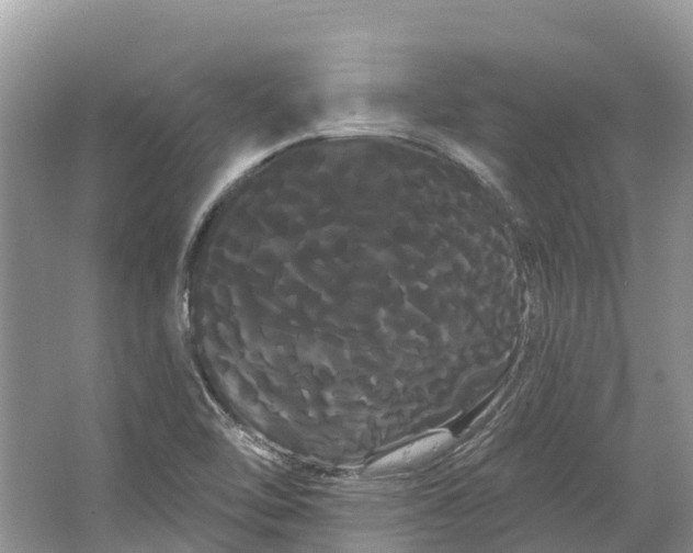 X0000066121462200603241557