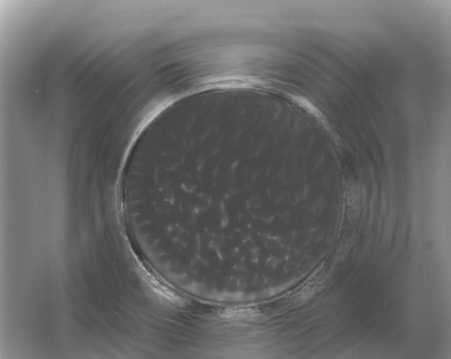 X0000066121466200603241557