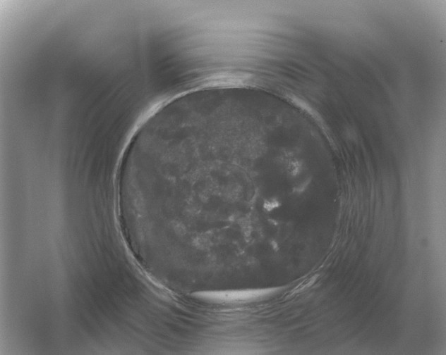 X0000066121467200603241557