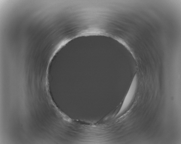 X0000066121469200603241557