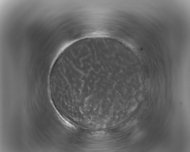 X0000066121470200603241557