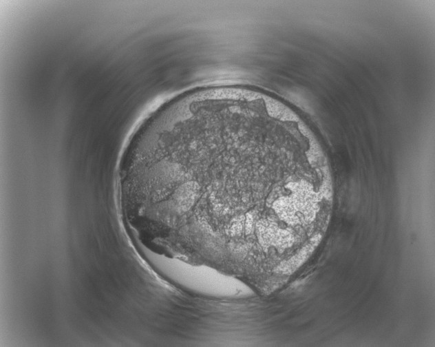 X0000066121472200603241557