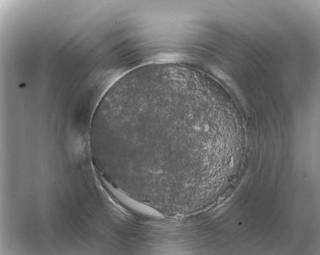 X0000066121473200603241557