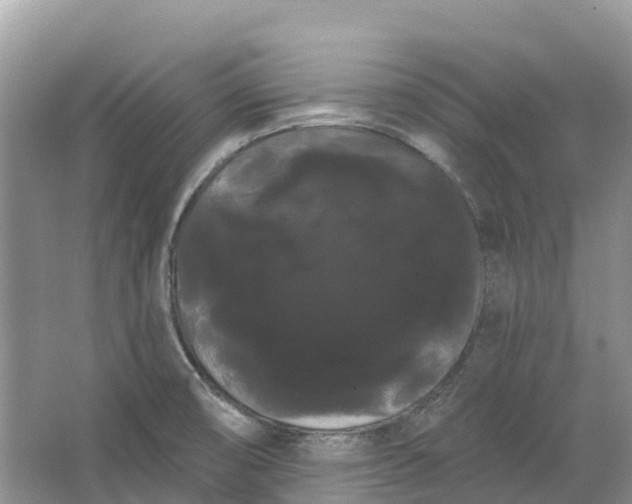 X0000066121474200603241557