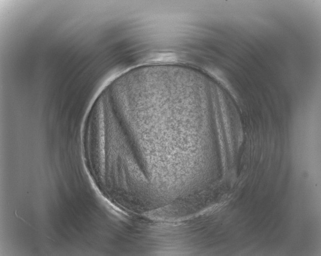 X0000066121475200603241557