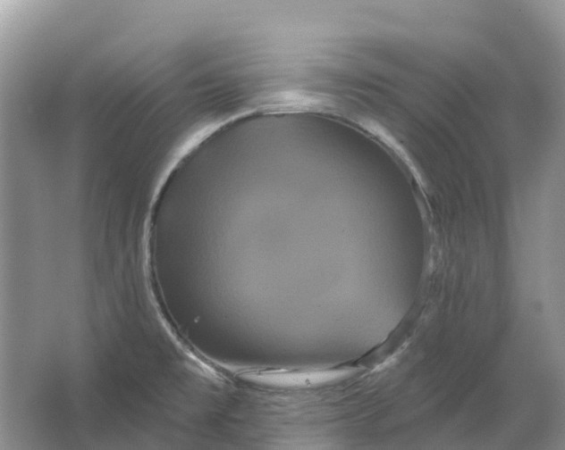 X0000066121477200603241557