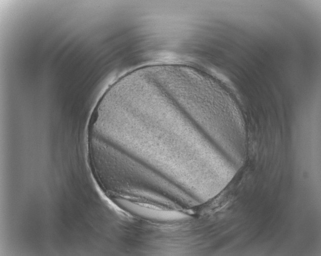 X0000066121479200603241557