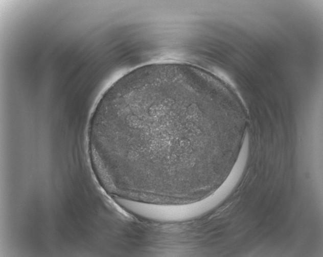 X0000066121480200603241557