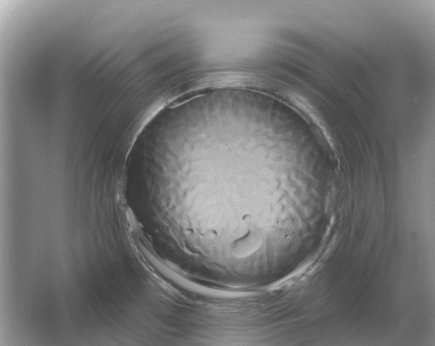 X0000066121481200603241557