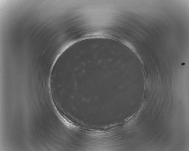 X0000066121482200603241557