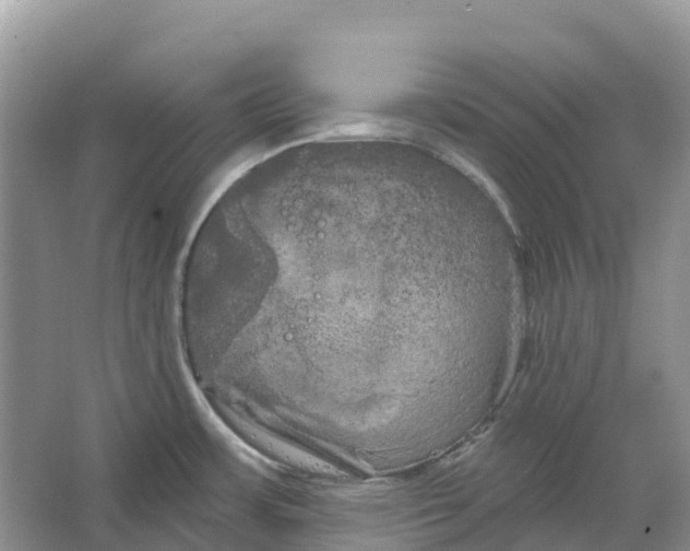 X0000066121483200603241557