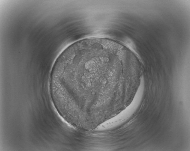 X0000066121484200603241557