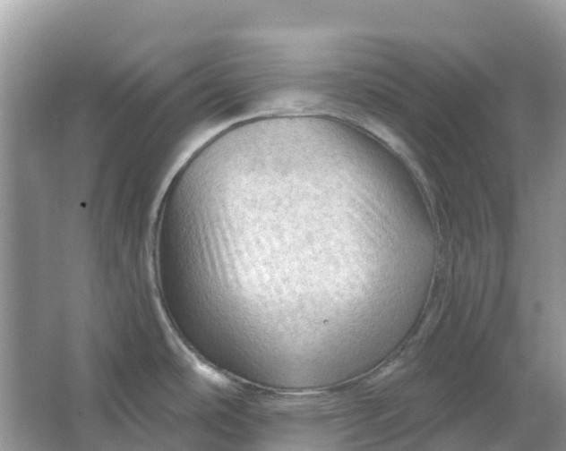 X0000066121486200603241557