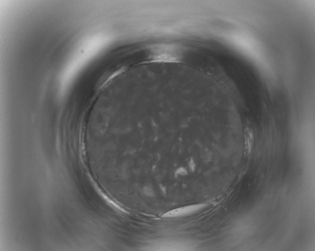 X0000066121487200603241557